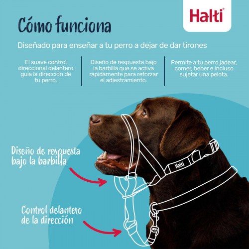 Mundkurv til hund - Company of Animals Cobalt, blå, str. 1