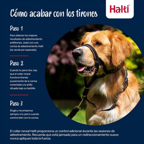 Mundkurv til hund - Company of Animals Cobalt, blå, str. 1