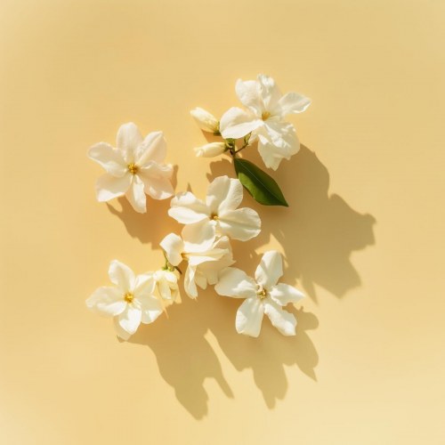 Parfume til kvinder Elie Saab Le Parfum Lumière EDP 90 ml