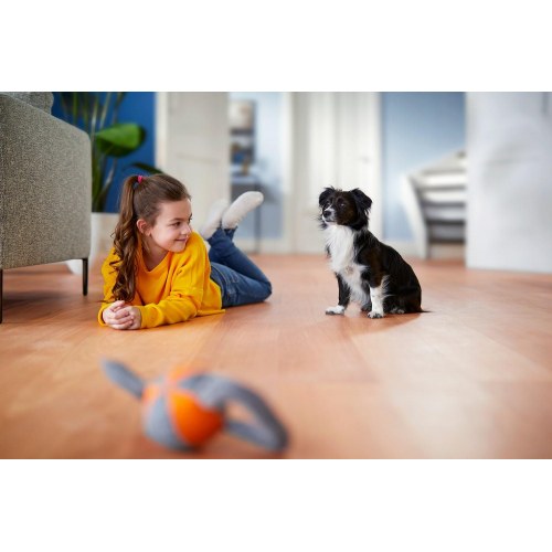 Støvsuger uden pose Philips PowerPro Expert FC9745/09, 2 l, 900 W