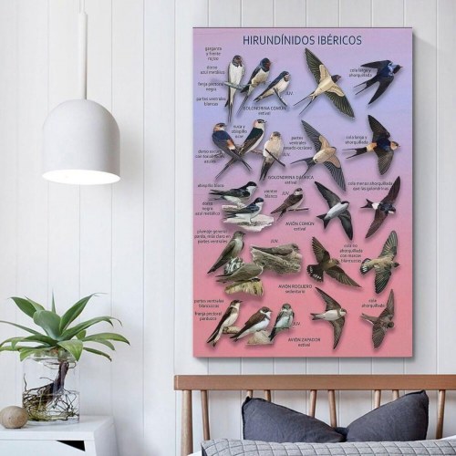 PC skærm Samsung ViewFinity S7 37" 4K Ultra HD