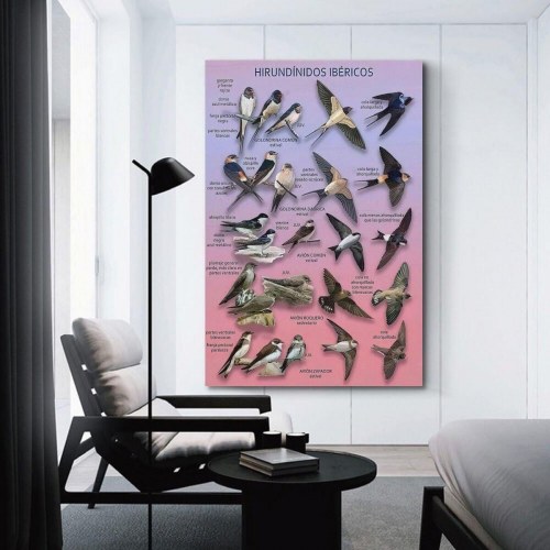 PC skærm Samsung ViewFinity S7 37" 4K Ultra HD