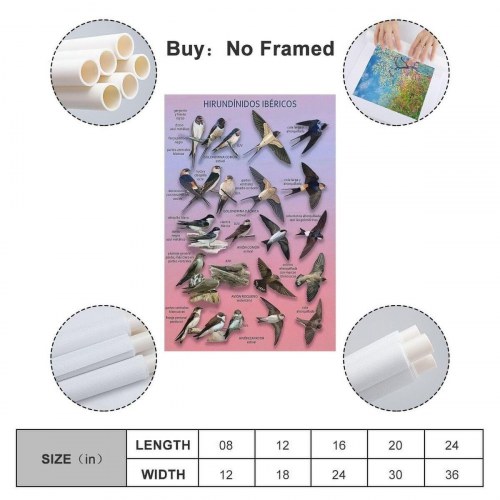 PC skærm Samsung ViewFinity S7 37" 4K Ultra HD