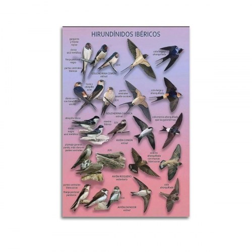 PC skærm Samsung ViewFinity S7 37" 4K Ultra HD