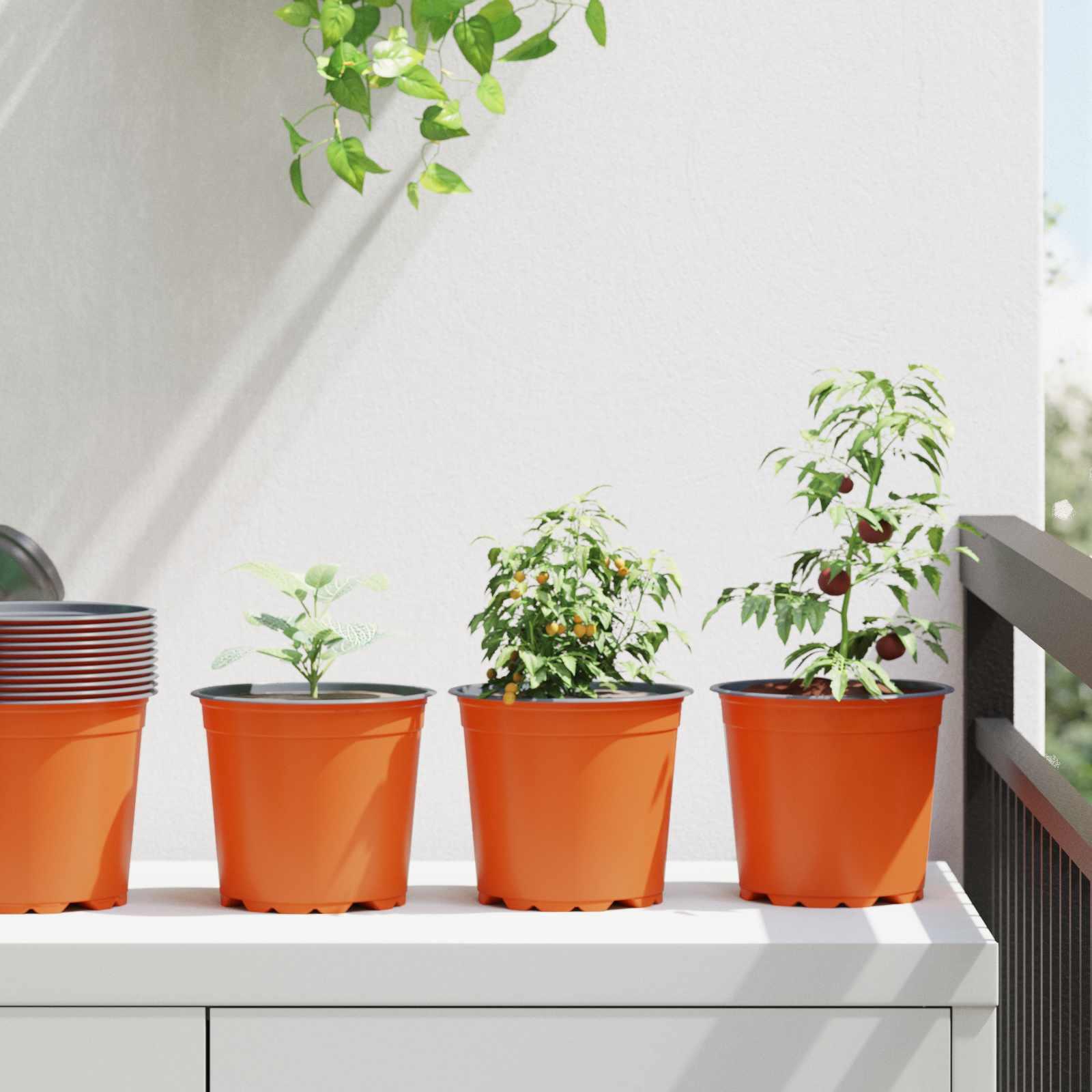 Blomsterpotte 50 pcs Terrakotta Ø 15 x 13 cm Plastik