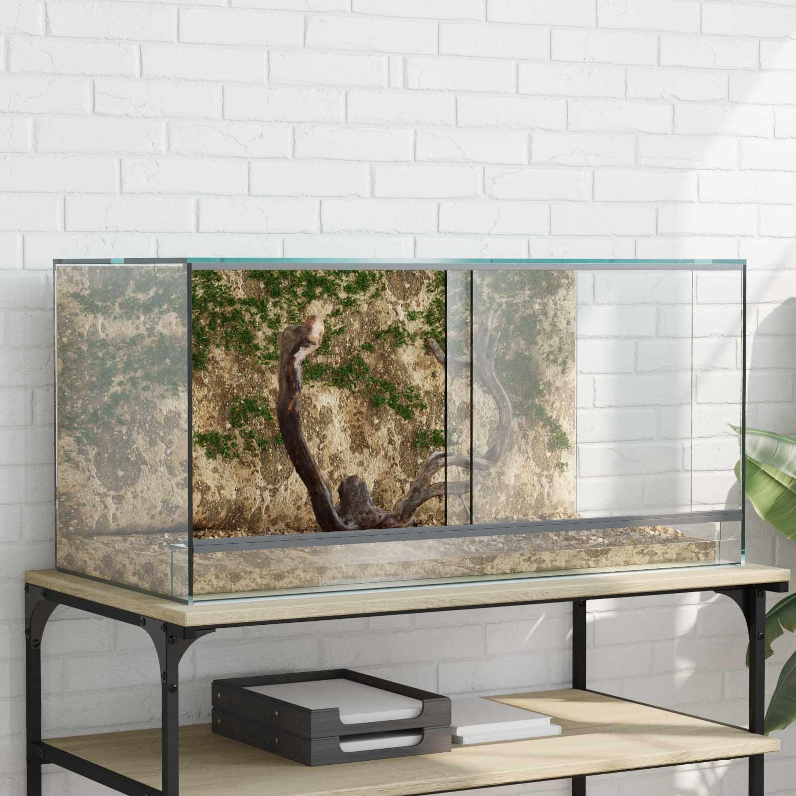 Krybdyr og amfibiehabitater Hvid 80 x 40 x 40 cm Glas