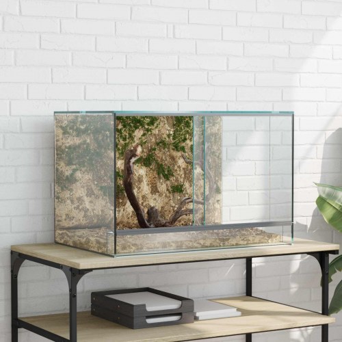 Krybdyr og amfibiehabitater Hvid 60 x 40 x 40 cm Glas