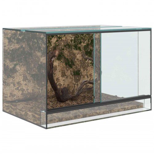 Krybdyr og amfibiehabitater Hvid 60 x 40 x 40 cm Glas