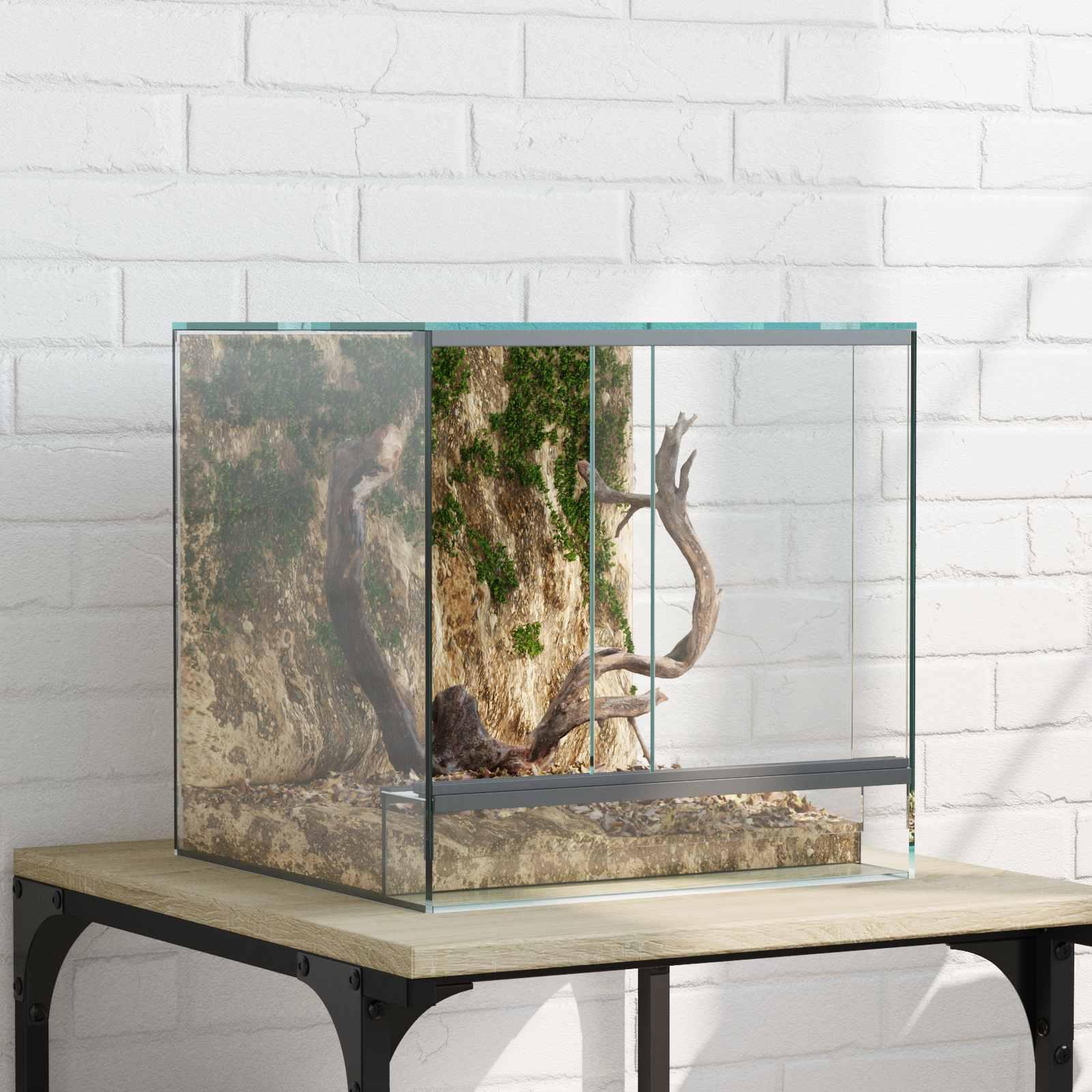 Krybdyr og amfibiehabitater Hvid 30 x 30 x 30 cm Glas