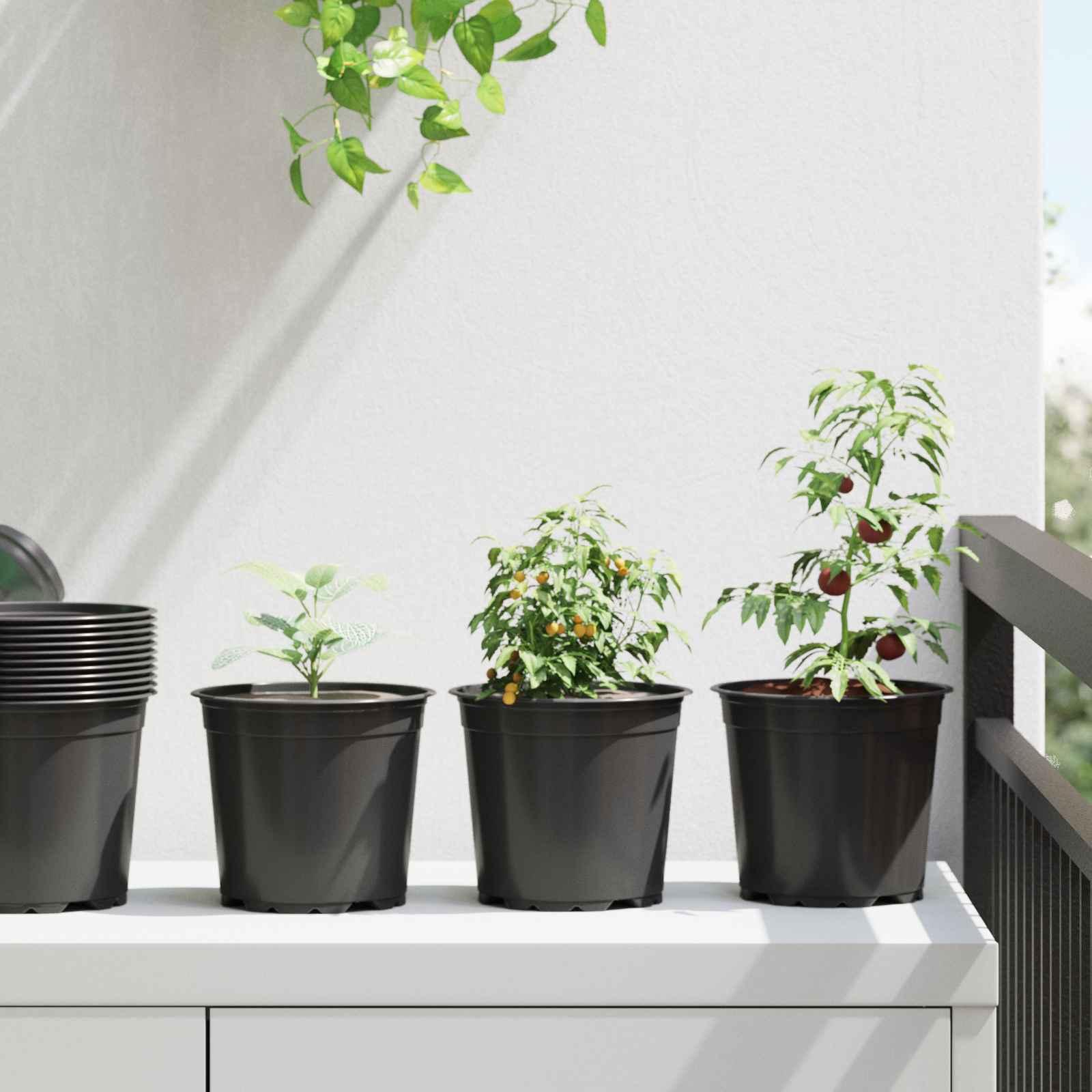Blomsterpotte 200 stk Sort Ø 15 x 12,5 cm Plastik