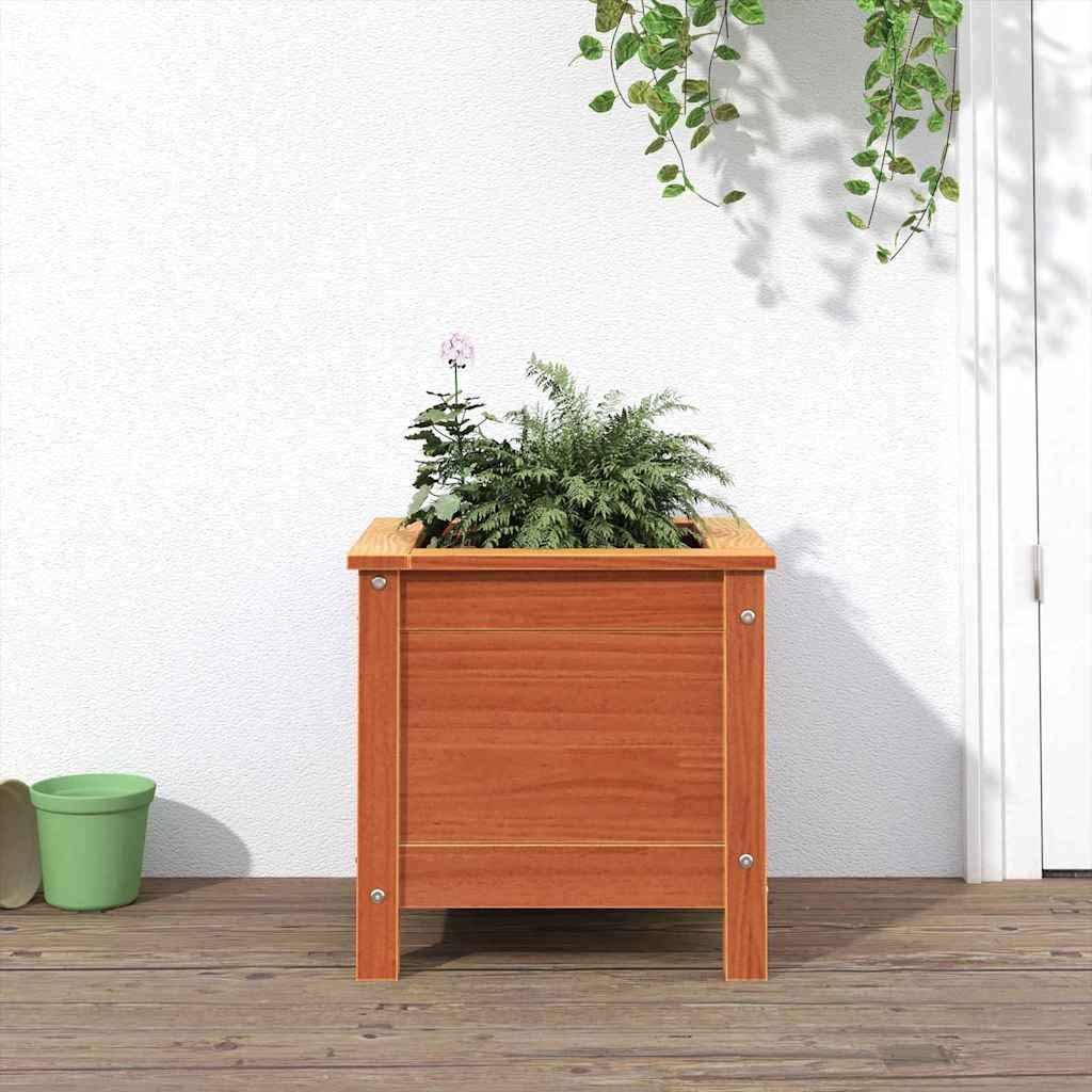 Have Blomsterkrukke Voks brun 40 x 40 x 39 cm Massiv fyrretræ