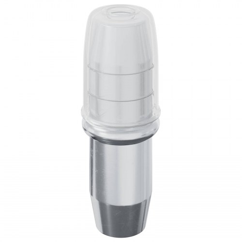 Hylde Peg 2 stk Sølv 7 x 16 mm Jern