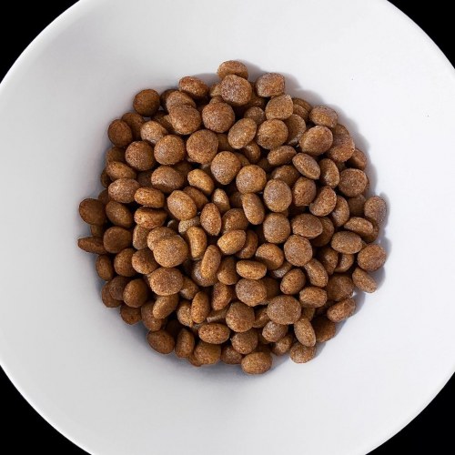 Vet Response Hypoallergenic – tørfoder til hund, 8 kg