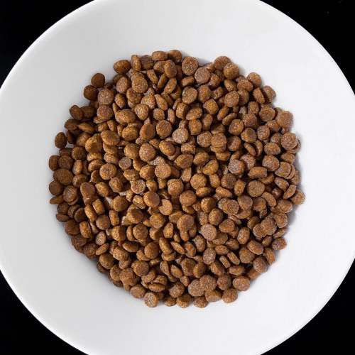 Vet Response Gastrointestinal tørfoder til kat – 400 g