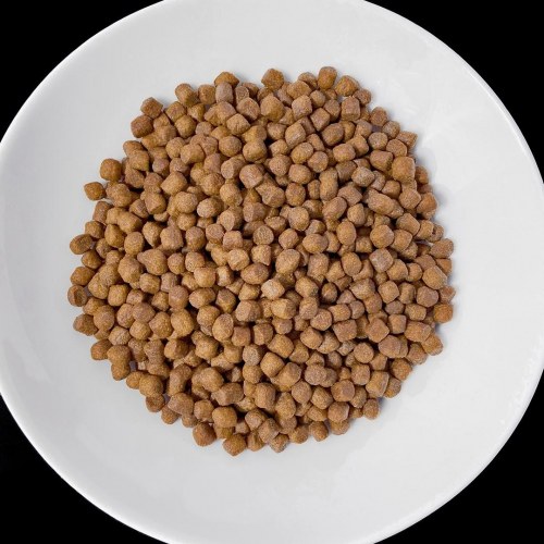 Vet Response Renal - tørfoder til hund, voksen - 1,6 kg