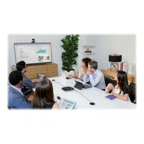 Logitech GROUP udvidelsesmikrofoner – kablet mikrofonsæt, sort (2 stk.)