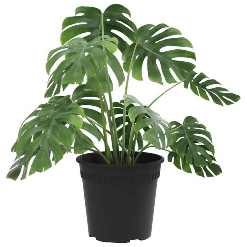 Rund Blomsterpotte 24 stk Sort Ø 19 x 16 cm Plastik