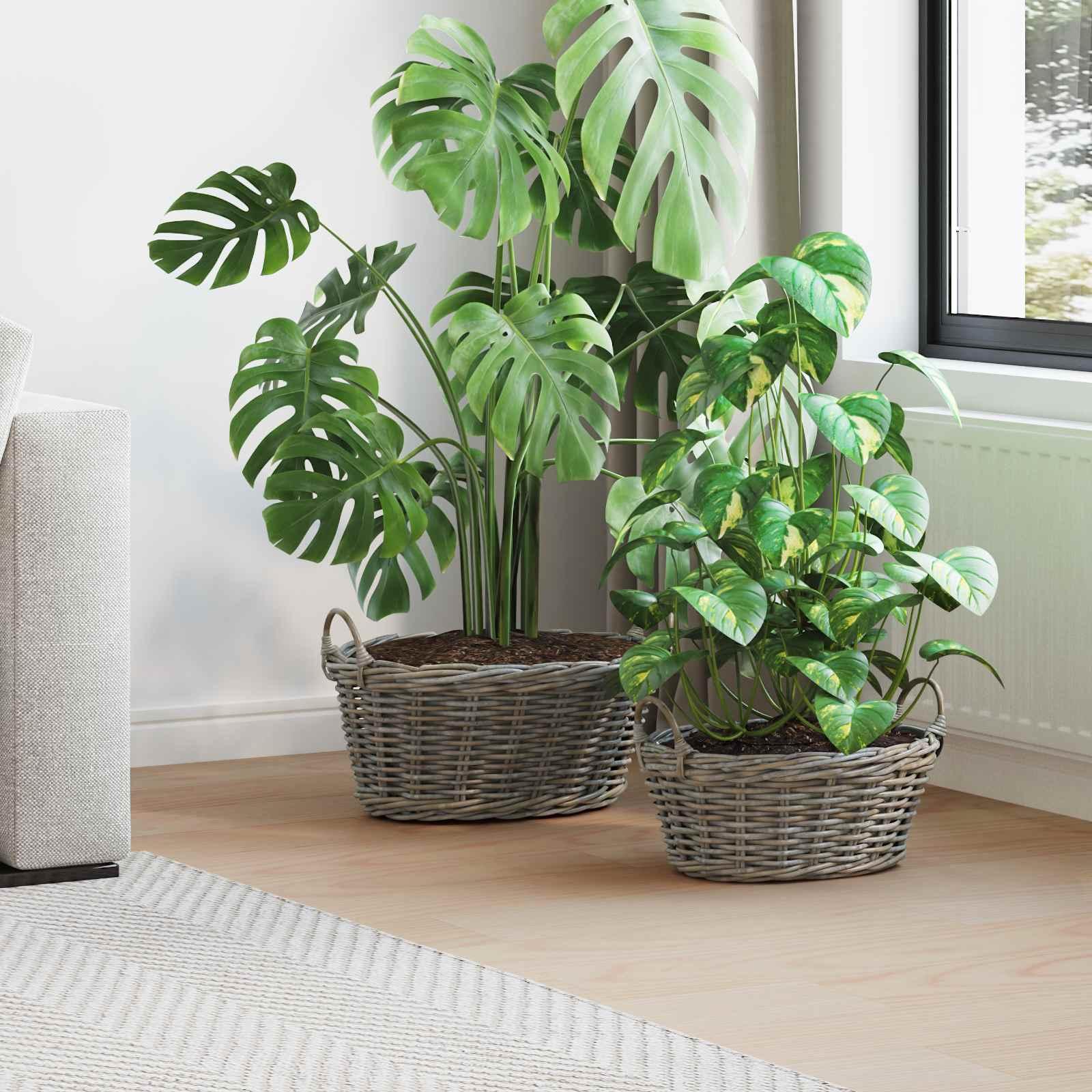 Plantekurv med opbevaring 2 stk Grå Lacak Rattan