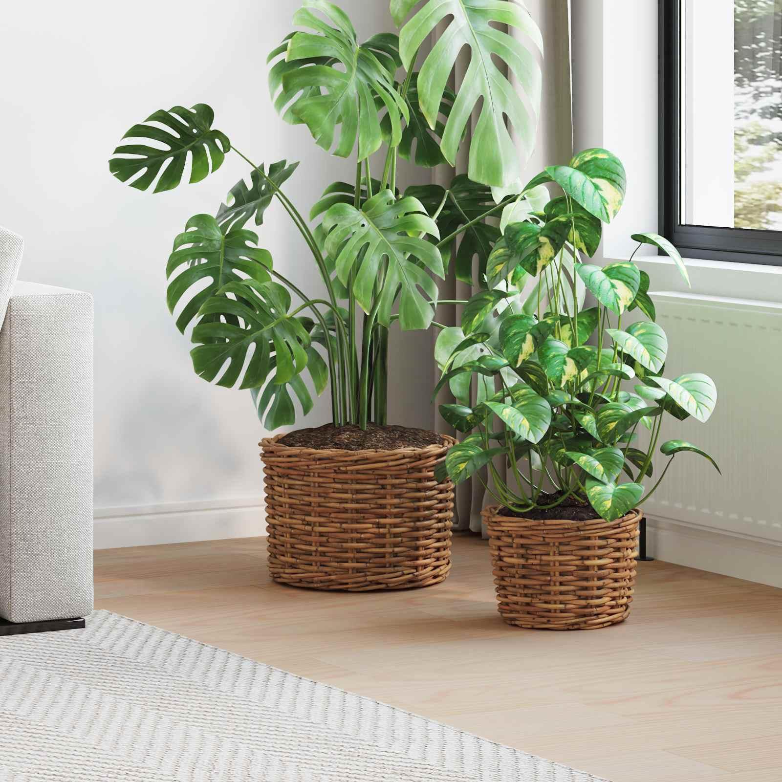 Plantekurv med opbevaring 2 stk Brun Kubu rattan