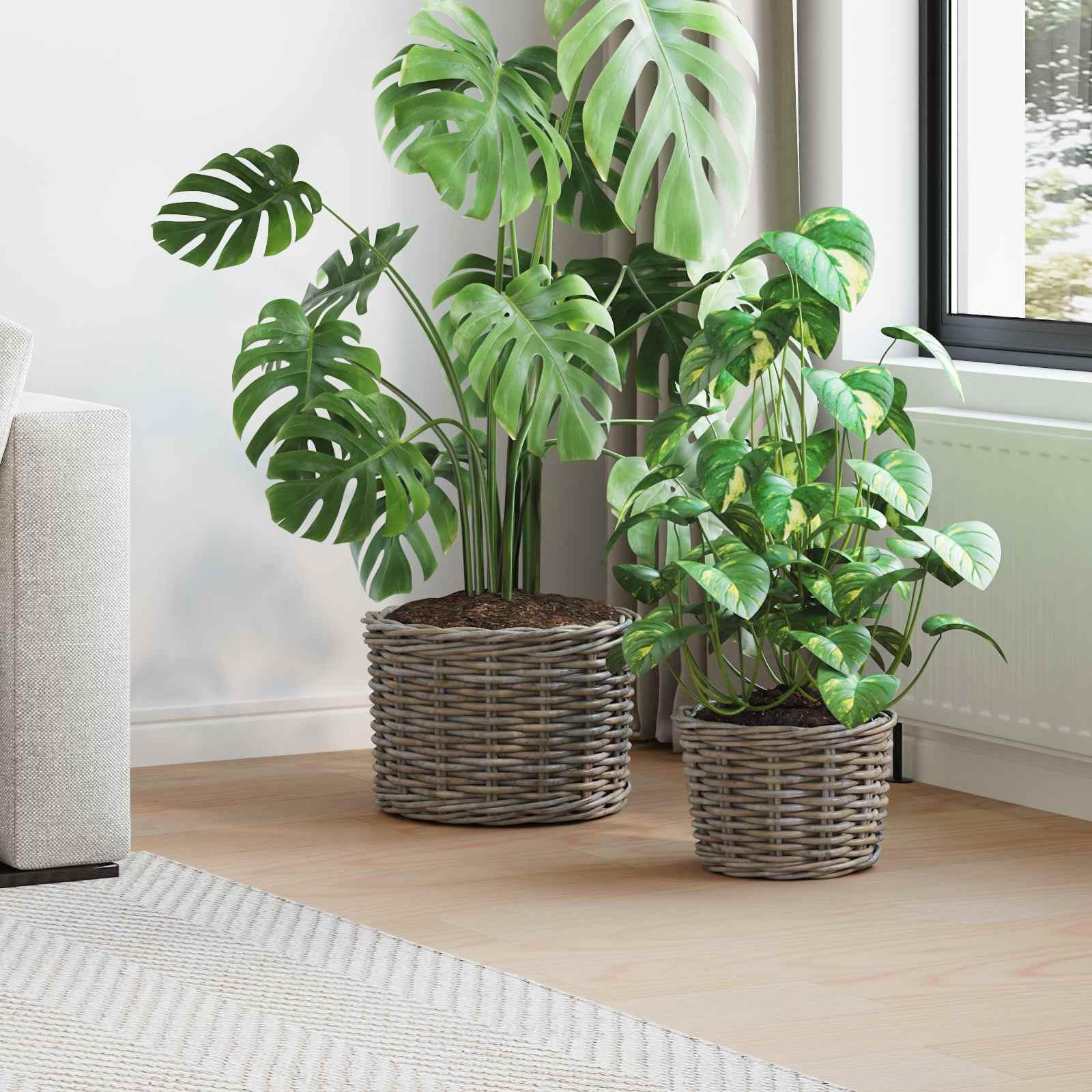 Plantekurv med opbevaring 2 stk Grå Kubu rattan