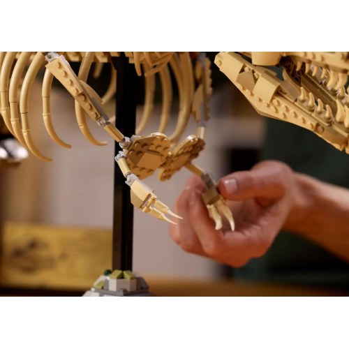 LEGO Jurassic World 76968 Dinosauriefossiler: Tyrannosaurus rex – byggesæt til voksne