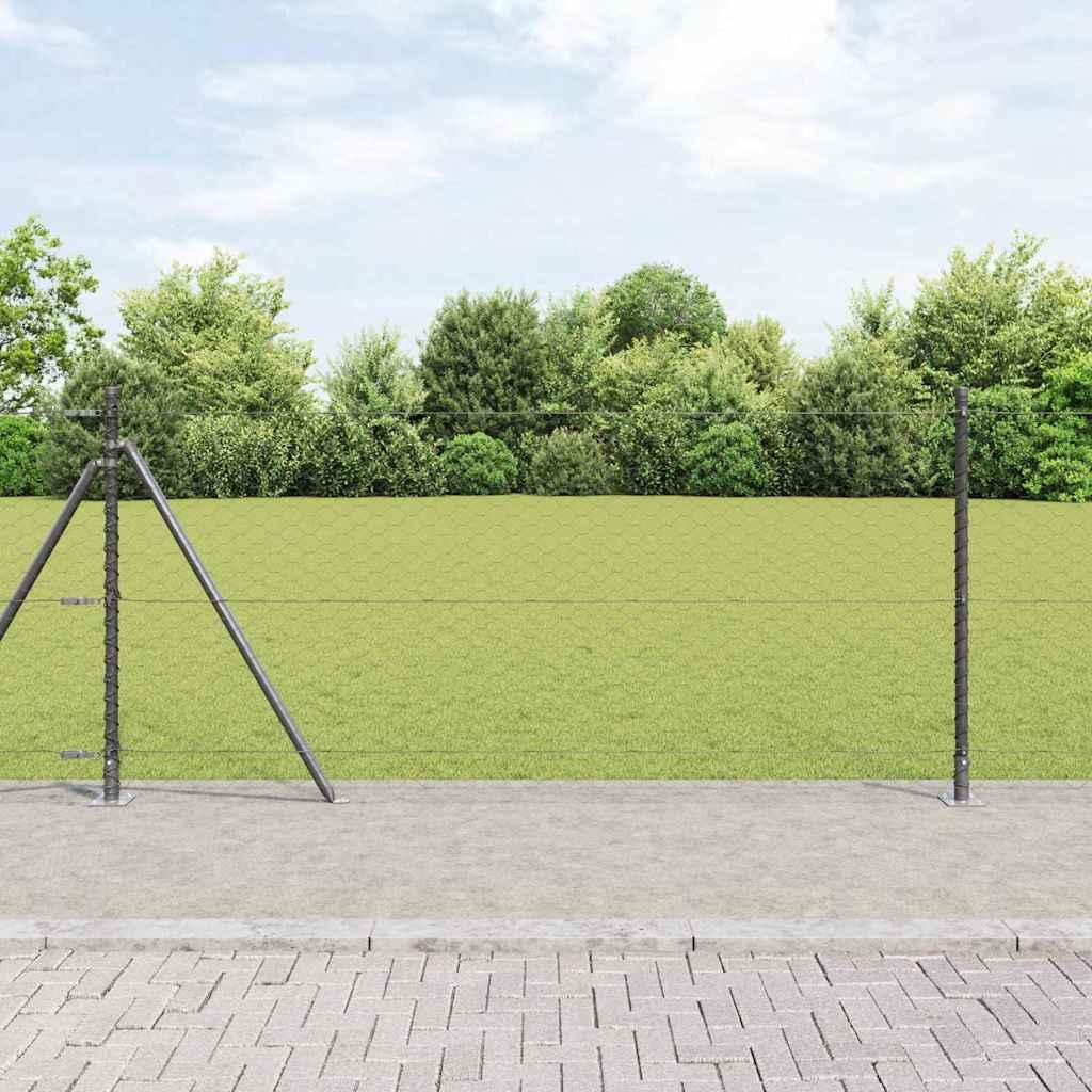 Hegnspæl Grå 25 x 1 m (50 mm mesh) Stål