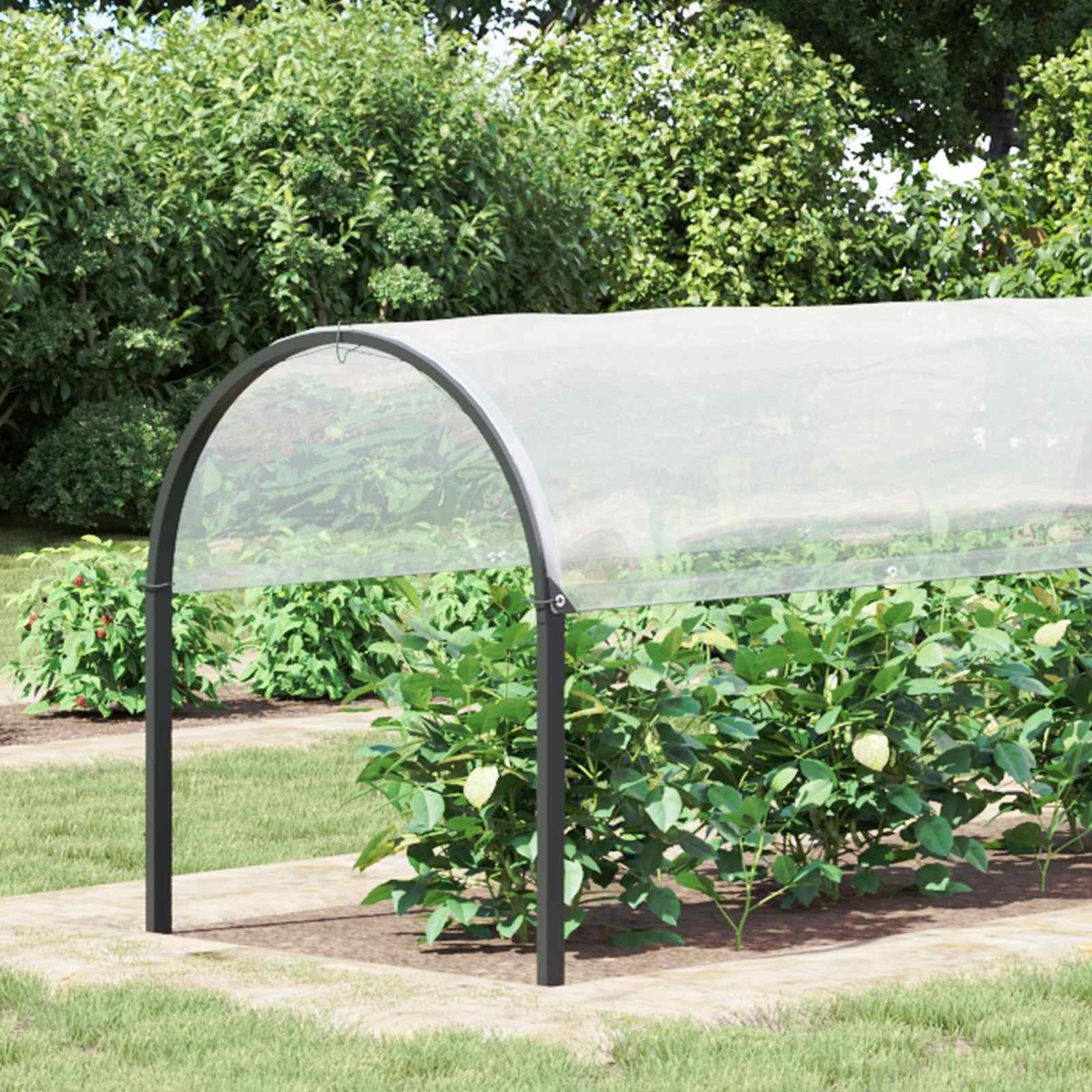 Presenning med øjer Transparent 2 x 12 m Polyethylen