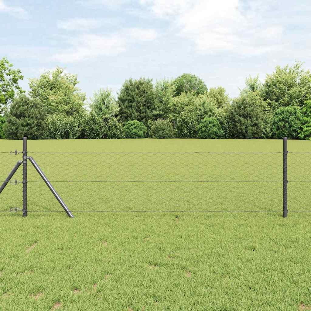 Hegnspæl Grå 10 x 0,8 m (36 mm net) Stål og PVC