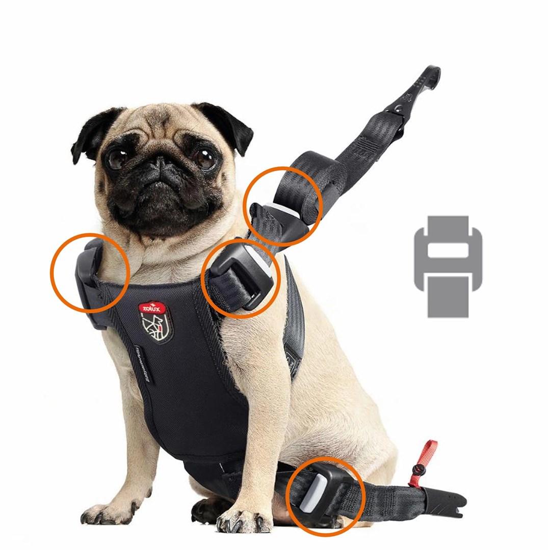 Zolux Travel Safe Isofix Car Safety Harness Red Small 7-15kg