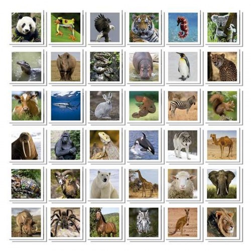 Educa Identic Memo Animals - hukommelsesspil til børn