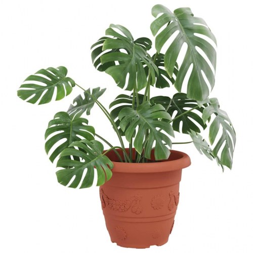 Rund Blomsterpotte 6 stk Mursten Rød Ø 26 x 21.5 cm Plastik