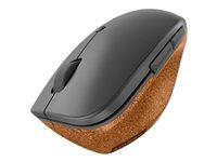 Lenovo Go - Mus - ergonomisk - højrehåndet - blå optisk - 6 knapper - trådløs - 2.4 GHz - trådløs modtager (USB) - grå, kork - detailsalg
