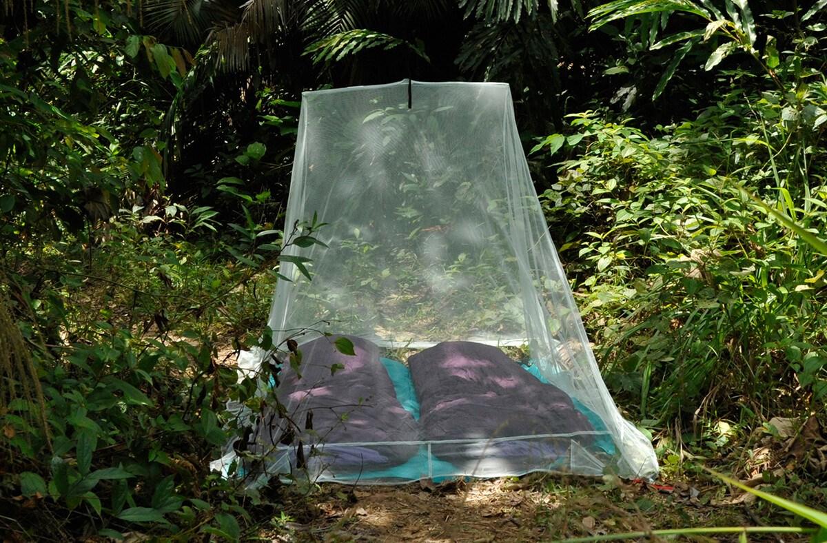 COCOON MNC2 pyramide myggenet til camping grøn, 2 personer