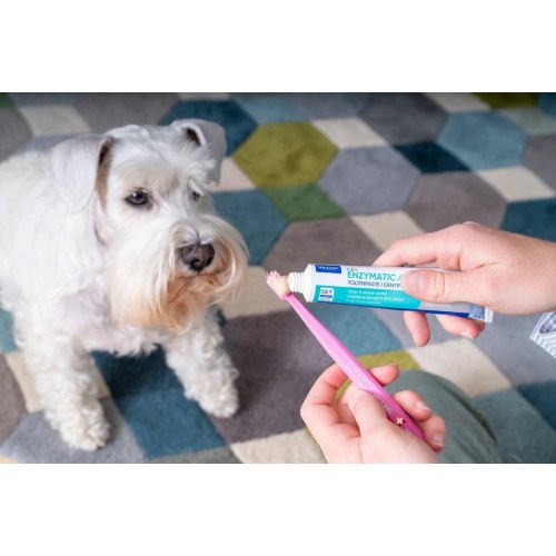Virbac C.E.T. enzymatisk tandpasta til hunde og katte - 70 g