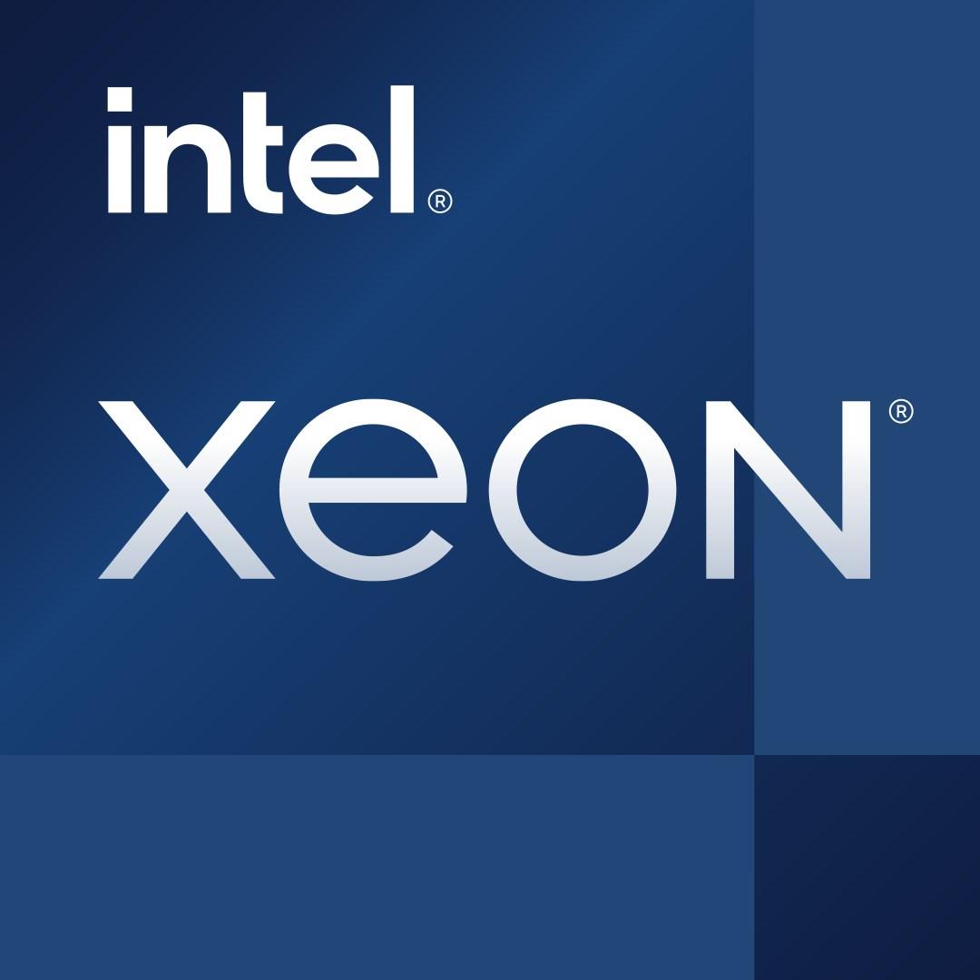 Intel Xeon E-2356G 3,2 GHz processor - 12 MB Smart Cache (Tray)