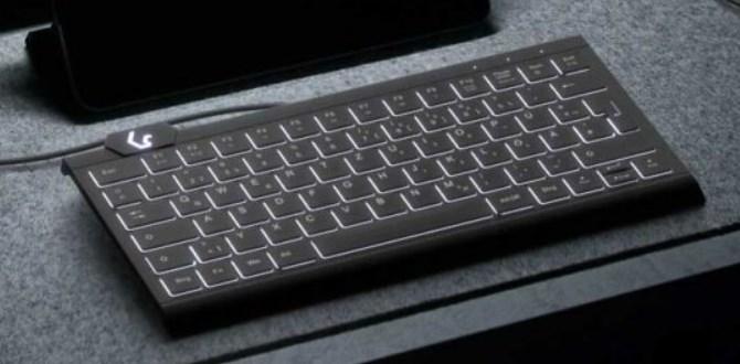 KeySonic KSK-5010ELC (DE) – bagbelyst USB tastatur til hjemmet, QWERTZ, sort