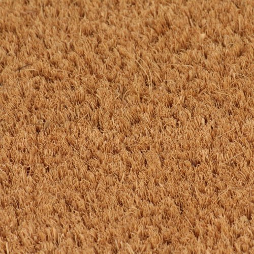 Dørmåtte 40×60 cm - tuftet coir i naturfarve med skridsikker PVC-bagside