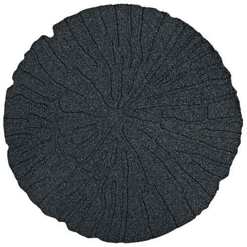 Trædesten 6 stk Sort Ø 45 x 1,8 cm Gummi