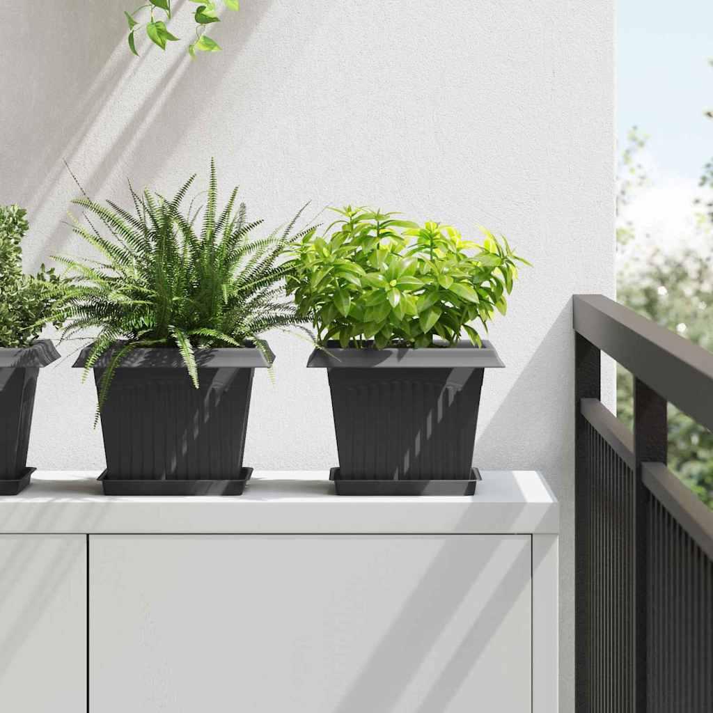 Plantepotter 6 stk Sort 23 x 23 x 17,5 cm Plastik