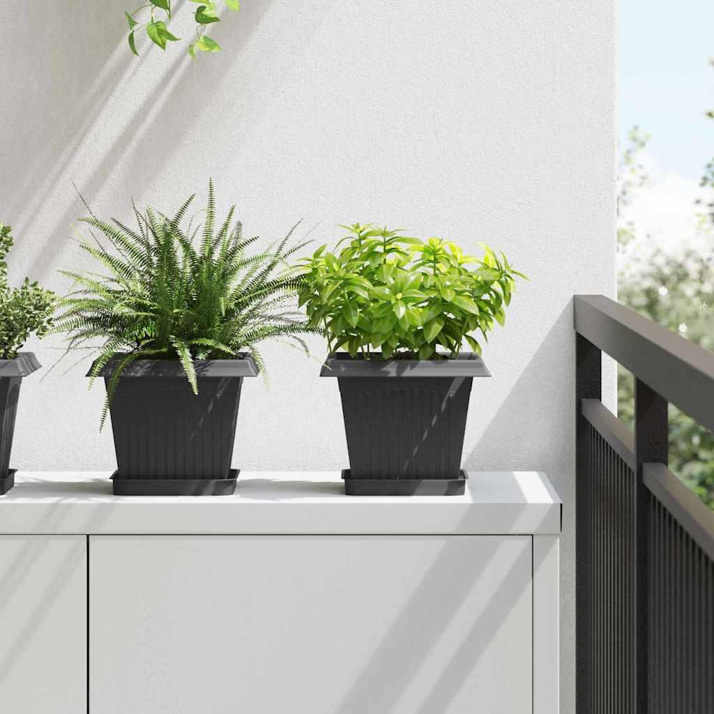 Plantepotter 6 stk Sort 20 x 20 x 16 cm Plastik