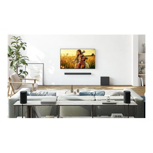 Sony BRAVIA Theatre Rear 8 SA-RS8 bagkanalhøjttalere - Sort
