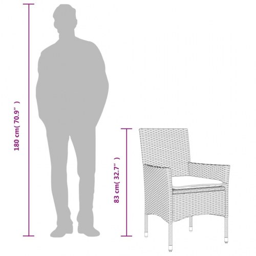 Havestole med hynder 2 stk. polyrattan sort