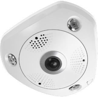 LevelOne FCS-3095 sfærisk IP-overvågningskamera - inde/ude, 4000 × 3000, loft/væg/bord billede