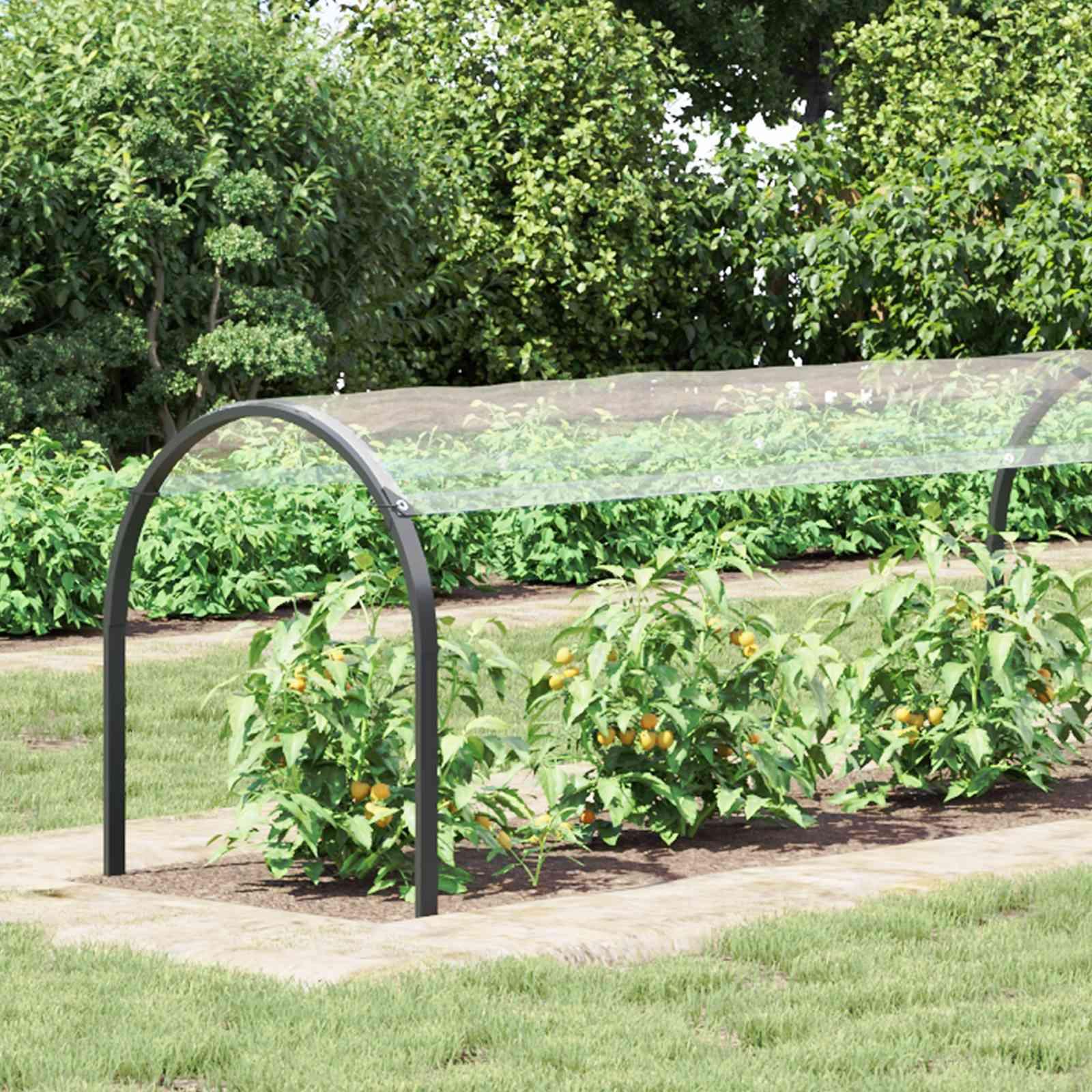 Planteovertræk Transparent 20 x 1,5 m PVC