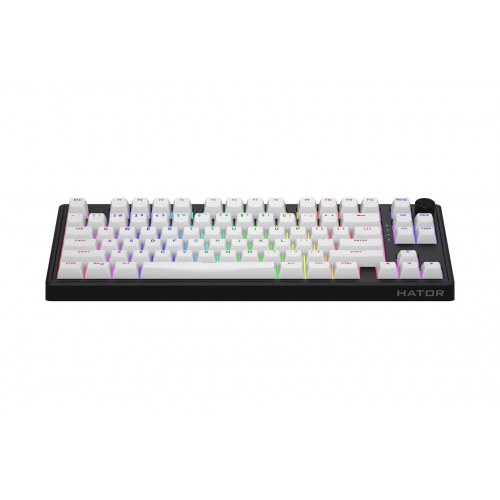 Skyfall Wireless 80 gamingtastatur - USB, RF og Bluetooth 5.3, 80%, RGB, sort/hvid
