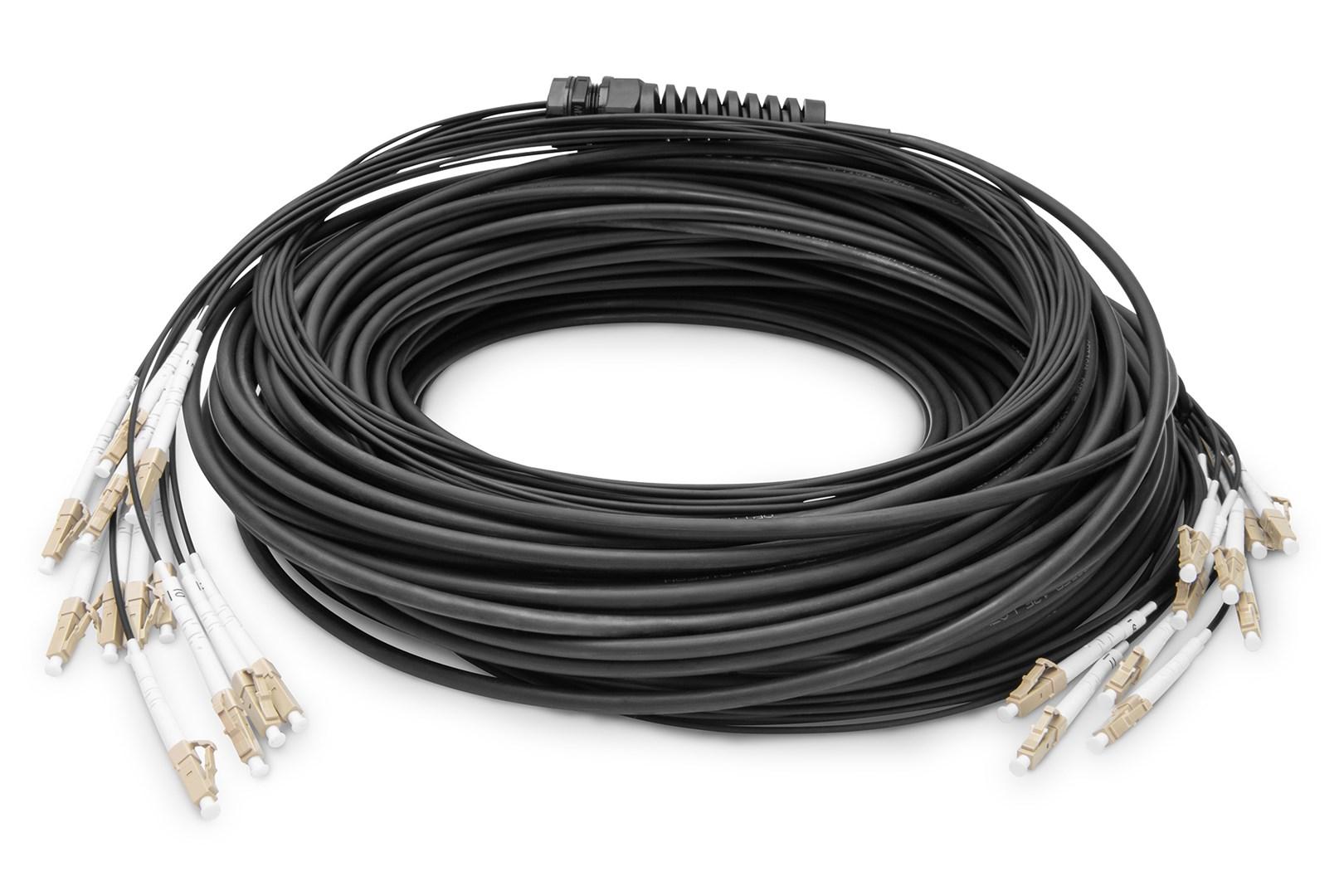 DIGITUS forkonfektioneret fiber break-out kabel OM4 12 fibre - LC/UPC til LC/UPC, 100 m billede