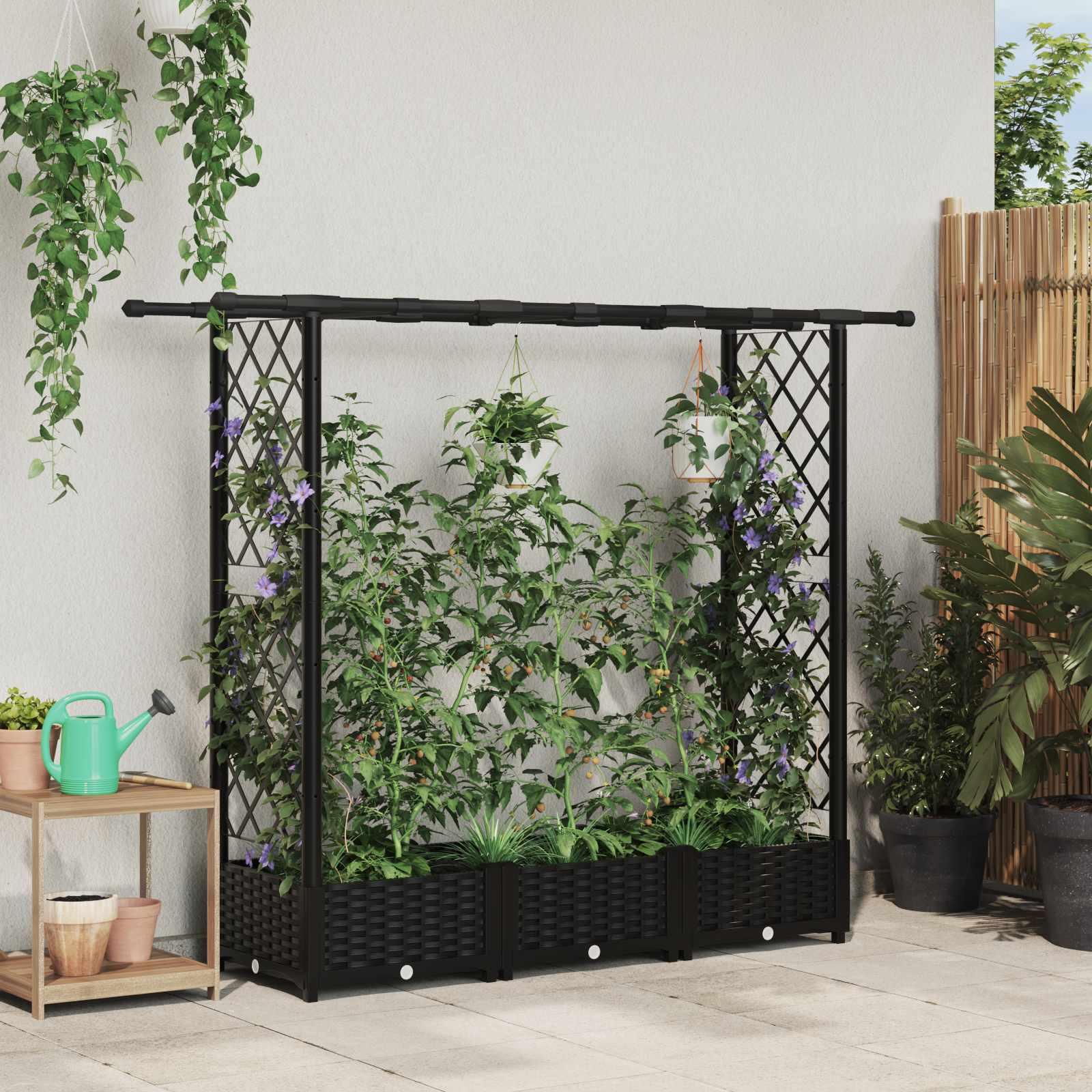 Hævet Bed med Trellis og Tag Sort 164 x 40 x 123 cm PP