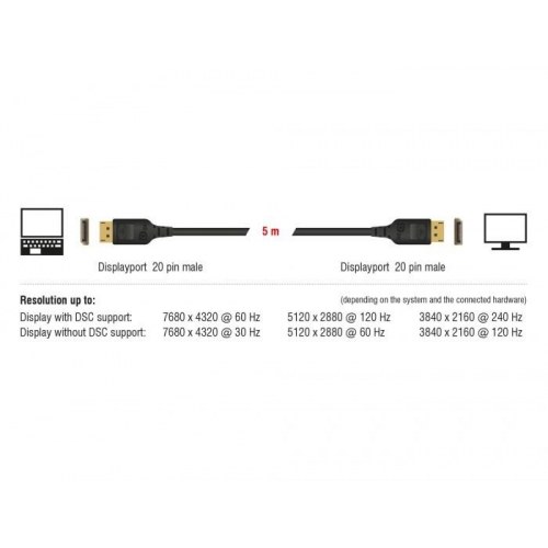DELOCK 85661 DisplayPort-kabel 3 m - sort