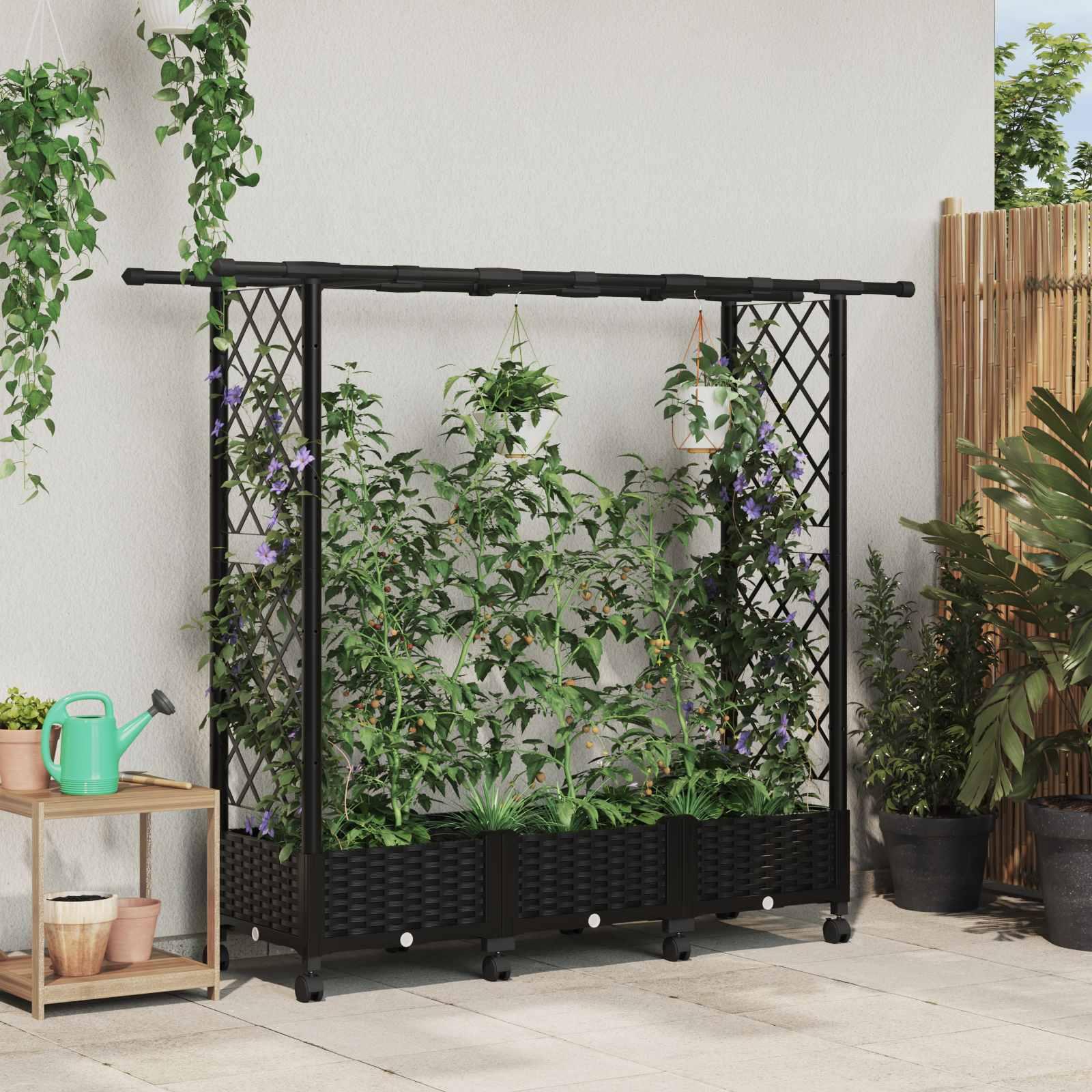 Hævet bed med trellis og tag - sort PP, 164 × 40 × 127 cm