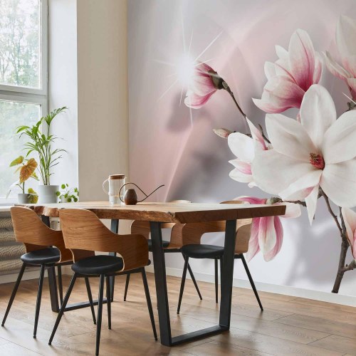 Fototapet Hvide magnolier
